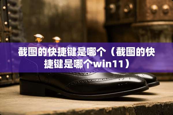 截图的快捷键是哪个（截图的快捷键是哪个win11）
