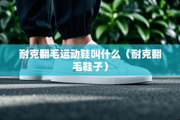 耐克翻毛运动鞋叫什么（耐克翻毛鞋子）