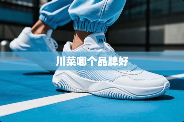 川菜哪个品牌好