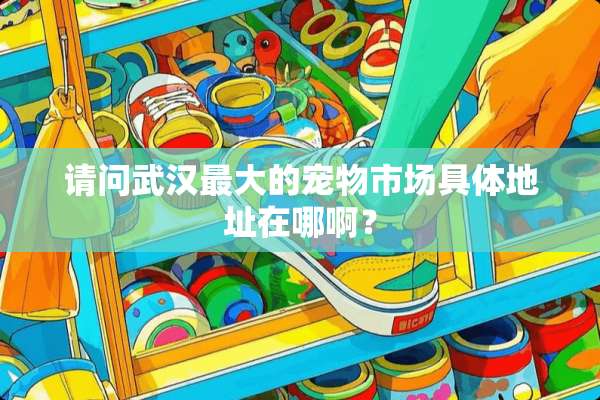 请问武汉最大的宠物市场具体地址在哪啊？