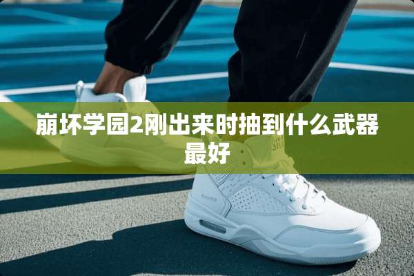 崩坏学园2刚出来时抽到什么**最好