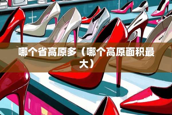 哪个省高原多（哪个高原面积最大）