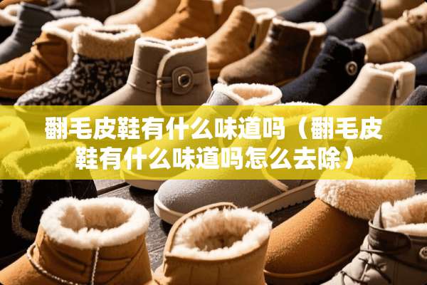 翻毛皮鞋有什么味道吗（翻毛皮鞋有什么味道吗怎么去除）