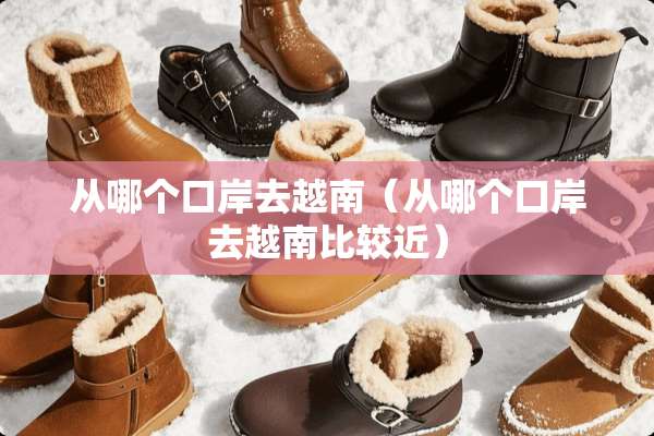 从哪个口岸去越南（从哪个口岸去越南比较近）
