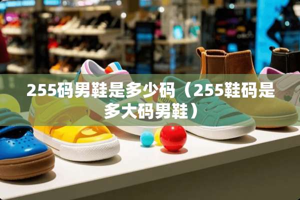 255码男鞋是多少码（255鞋码是多大码男鞋）