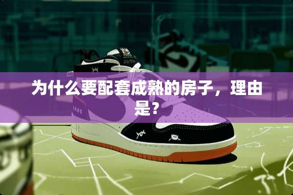 为什么要配套成熟的房子，理由是？