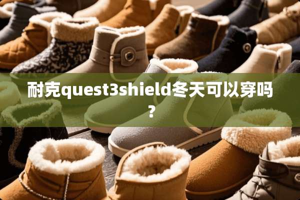 耐克quest3shield冬天可以穿吗？