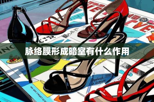 脉络膜形成暗室有什么作用