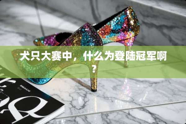 犬只大赛中，什么为**冠军啊？