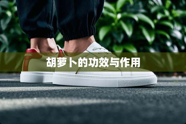 胡萝卜的功效与作用