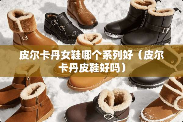 皮尔卡丹女鞋哪个系列好（皮尔卡丹皮鞋好吗）