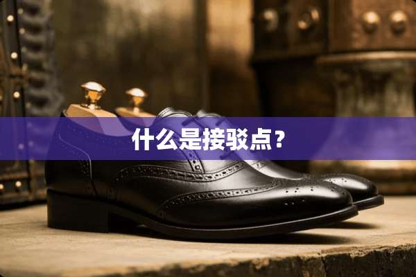什么是接驳点？