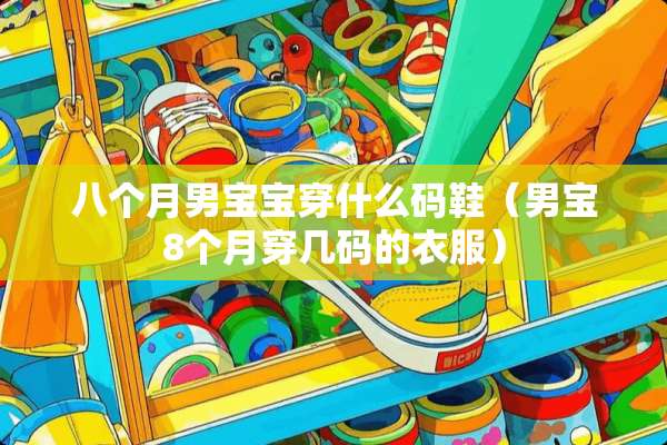 八个月男宝宝穿什么码鞋（男宝8个月穿几码的衣服）