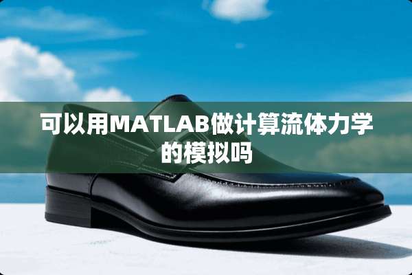 可以用MATLAB做计算流体力学的模拟吗