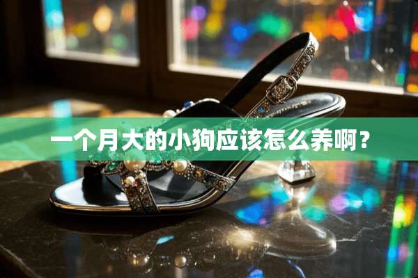 一个月大的小狗应该怎么养啊？