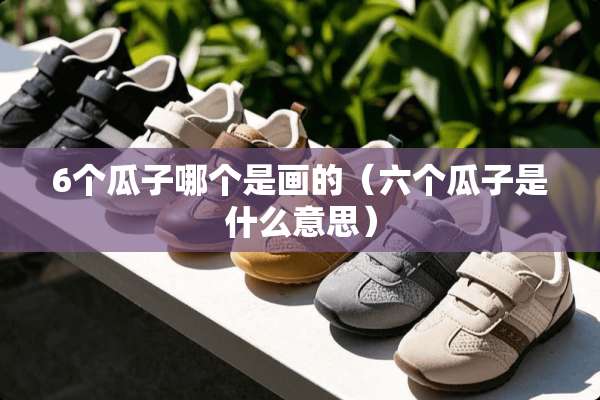 6个瓜子哪个是画的（六个瓜子是什么意思）