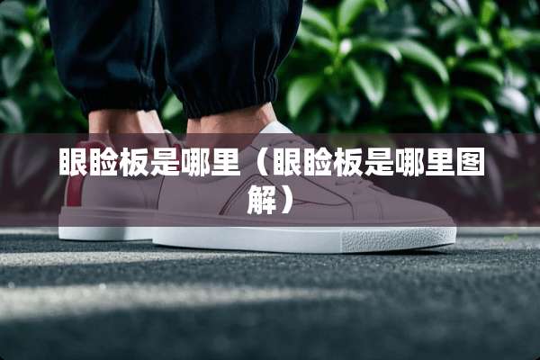 眼睑板是哪里（眼睑板是哪里图解）
