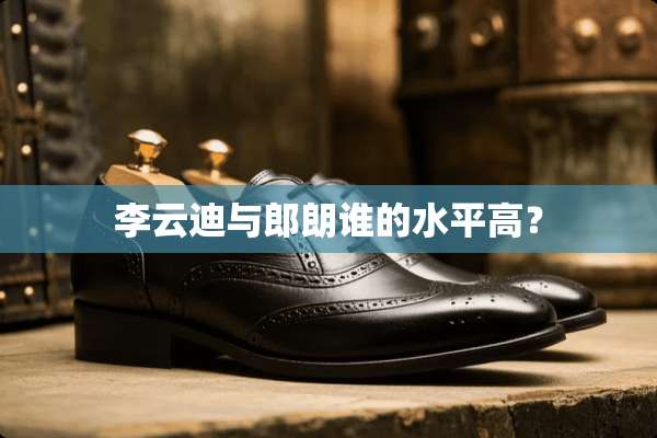 李云迪与郎朗谁的水平高？