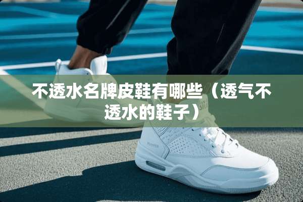不透水名牌皮鞋有哪些（透气不透水的鞋子）