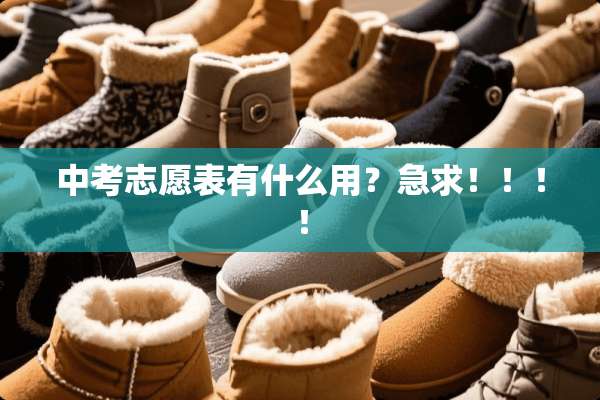 中考志愿表有什么用？急求！！！！