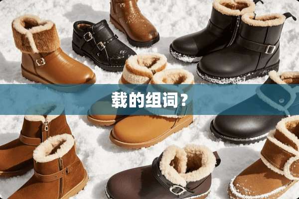 载的组词？