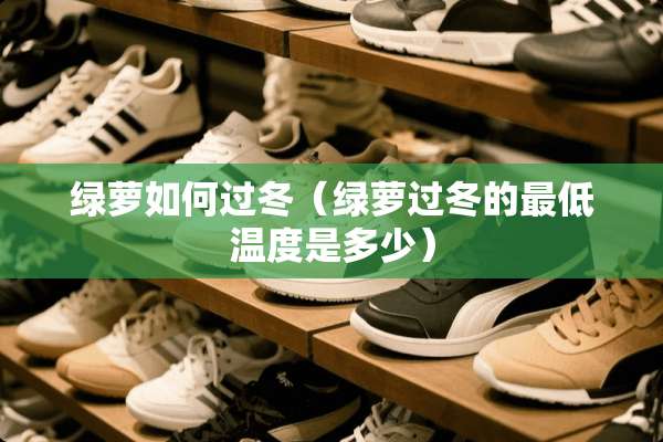 绿萝如何过冬（绿萝过冬的最低温度是多少）
