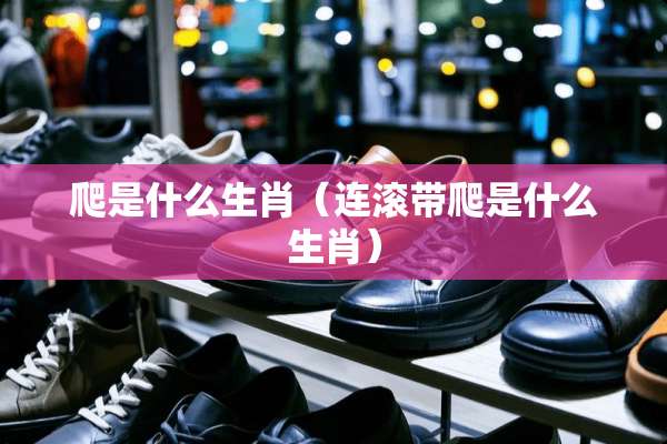 爬是什么生肖（连滚带爬是什么生肖）