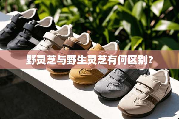 野灵芝与野生灵芝有何区别？