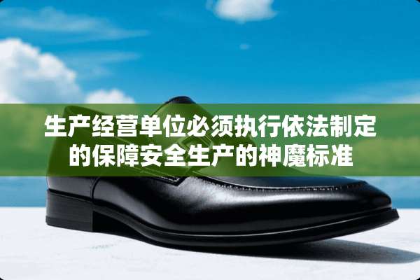 生产经营单位必须执行依法制定的保障安全生产的神魔标准
