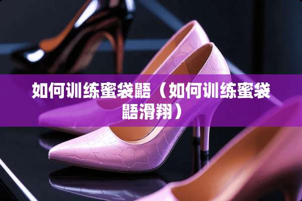 如何训练蜜袋鼯（如何训练蜜袋鼯滑翔）