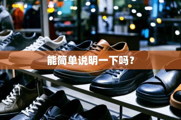 能简单说明一下吗？