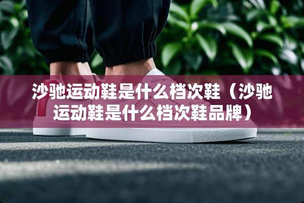 沙驰运动鞋是什么档次鞋（沙驰运动鞋是什么档次鞋品牌）