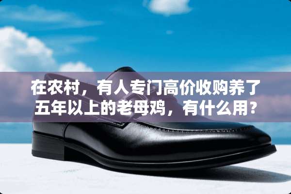 在农村，有人专门高价收购养了五年以上的老母鸡，有什么用？