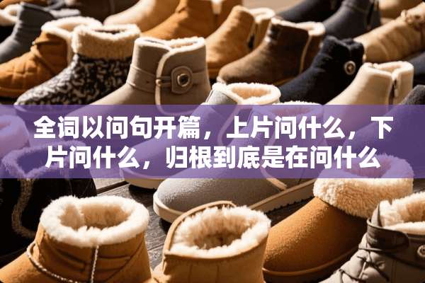全词以问句开篇，上片问什么，下片问什么，归根到底是在问什么（水调歌头）