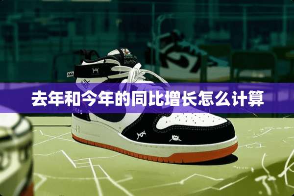 去年和今年的同比增长怎么计算