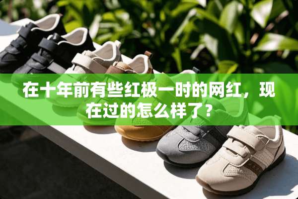 在十年前有些红极一时的网红，现在过的怎么样了？