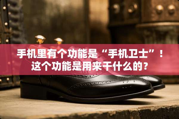 手机里有个功能是“手机卫士”！这个功能是用来干什么的？