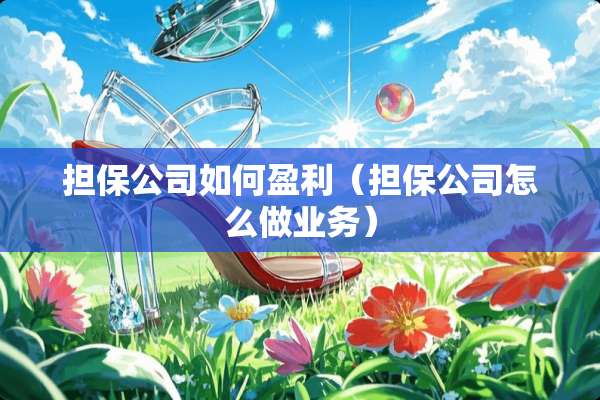 担保公司如何盈利（担保公司怎么做业务）
