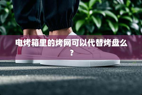 电烤箱里的烤网可以代替烤盘么？