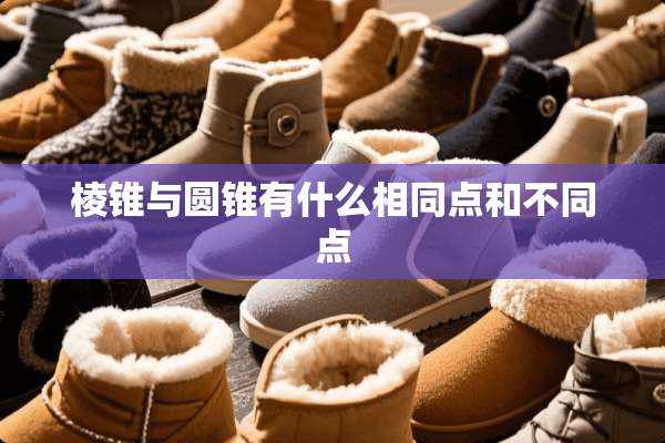 棱锥与圆锥有什么相同点和不同点