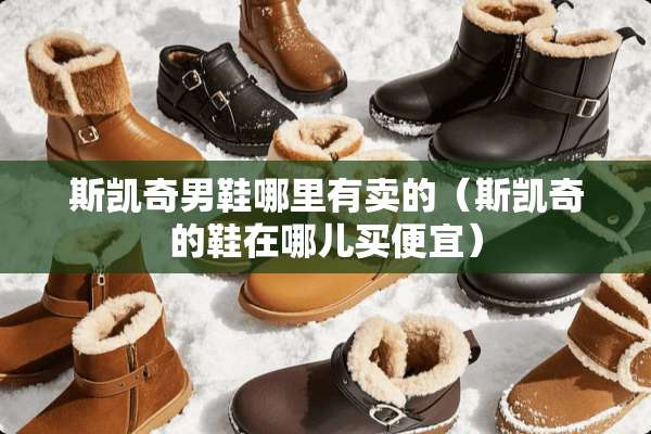 斯凯奇男鞋哪里有卖的（斯凯奇的鞋在哪儿买便宜）
