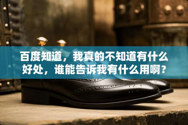 百度知道，我真的不知道有什么好处，谁能告诉我有什么用啊？