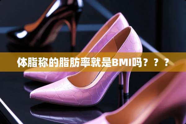 体脂称的脂肪率就是BMI吗？？？