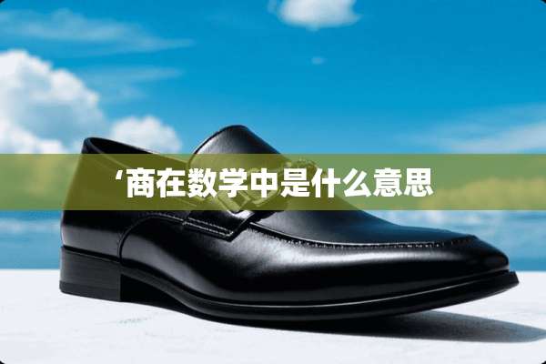 ‘商在数学中是什么意思