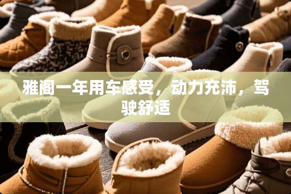 雅阁一年用车感受，动力充沛，驾驶舒适