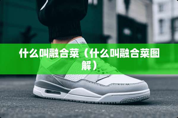 什么叫融合菜（什么叫融合菜图解）