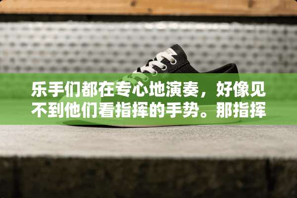 乐手们都在专心地演奏，好像见不到他们看指挥的手势。那指挥到底是干什么的
