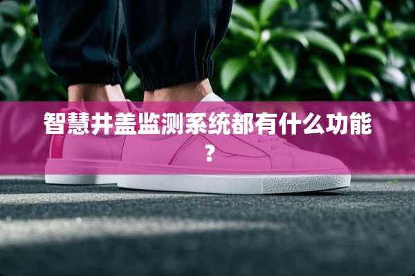 智慧井盖监测系统都有什么功能？