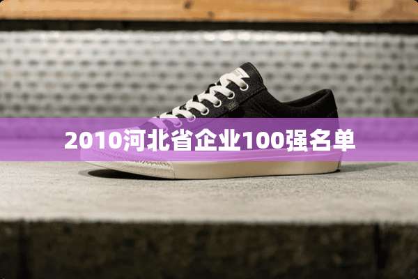 2010河北省企业100强名单