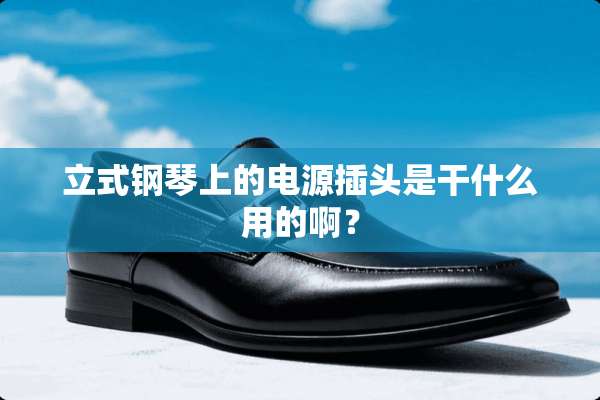立式钢琴上的电源插头是干什么用的啊？